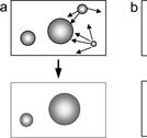 Full article: Understanding the Fundamentals of ...
