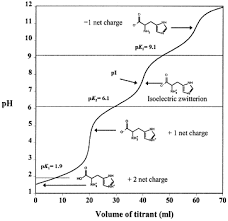 We did not find results for: Physical State Of L Histidine After Freeze Drying And Long Term Storage Sciencedirect