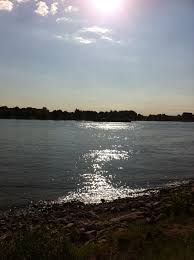 Mainz Rheinufer Mainz Mainz Germany Hometown