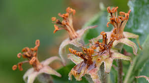 We would like to show you a description here but the site won't allow us. Frost Wetterlexikon Von A Bis Z