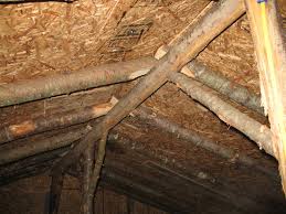 If you're long on logs but short on cash, consider these four practical homestead projects, including log rail fence, hoisting derrick, swing set, pole shed. Building Techniques