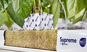 But it won't cost anything to ask these. Substrate Archieven Hortinext