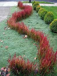 Pin On Garden