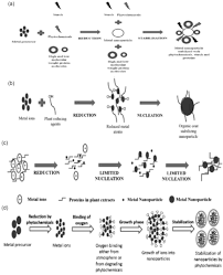 Manganese dioxides have drawn great attention due to their excellent physicochemical properties, rich structural variety, low cost and environmental friendliness. Green Synthesis Of Metal And Metal Oxide Nanoparticles From Plant Leaf Extracts And Their Applications A Review