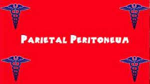 Pronunciation of peritoneum with 3 audio pronunciations. Pronounce Medical Words Parietal Peritoneum Youtube
