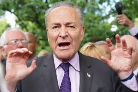 Chuck Schumer in America—A Warning