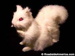 Maybe you would like to learn more about one of these? Home Of The White Squirrels Olney Illinois