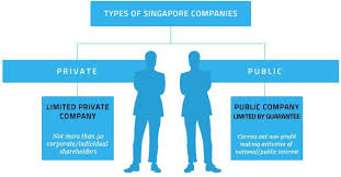 As You Choose To Register Company In Singapore The Decision About Type Of Company Incorporation In Singapore You Need Is Company Types Public Company Company
