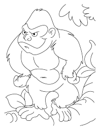 $15.95, hardcover, 36 pages, isbn: Ape Coloring Pages Best Coloring Pages For Kids In 2021 Animal Coloring Pages Coloring Pages Printable Animals