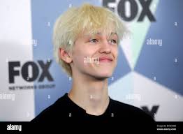 Percy white hi-res stock photography and images