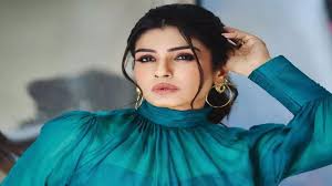 Raveena Tandon addresses road rage scandal, advises fans to install  dashcams - The Economic Times