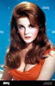 Margaret ann hi-res stock photography and images