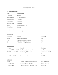 Model Curriculum Vitae Curriculum Vitae Persoonlijke Gegevens Naam Hakunametata Voornamen Studocu