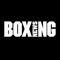 Boxing logo creator with hand drawn boxing gloves clipart. Boxing News Linkedin