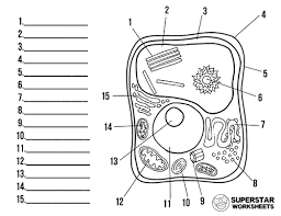 A biosensor is an analytical device containing an immobilized biological material (enzyme, antibody, nucleic acid, hormone, organelle or whole cell) which can specifically interact with an analyte and produce physical, chemical or electrical signals that can be measured. Plant Cell Worksheets Superstar Worksheets
