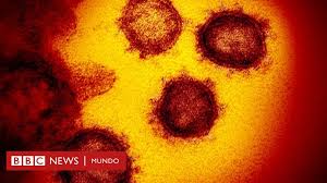 Yo logré aumentar 6 centímetros, pero hay personas que son felices con un par de centímetros más. Tratamiento Del Coronavirus Podremos Curar La Covid 19 Enganando Al Virus Bbc News Mundo