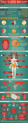 What Is Lyme Disease