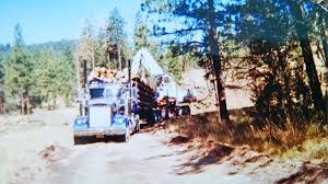 Image result for White 1990 Ryder PIE