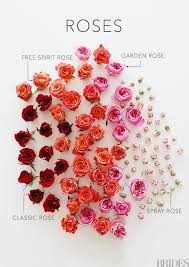 People often wear flowers on their clothes or give flowers as a gift during special occasions common flowers change source. Common Types Of Roses Types Of Roses Rose Varieties Free Spirit Rose