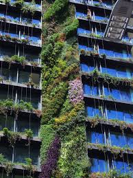 The video features flowers blooming in central park, ending with a view of the empire state building on the manhattan skyline at night. One Central Park Sydney Vertical Garden Vertical Planting Green Facade