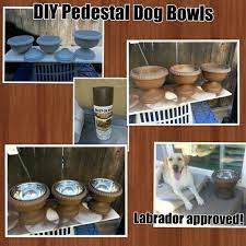 Bc4271c032528b8a39c5f680172b97a9 Jpg 512 512 Pixels Dog Bowls Diy Dog Stuff Dogs