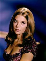 Mikki Jamison's Instagram, Twitter & Facebook