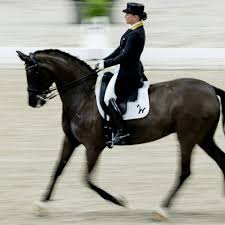The event began in 1995 and is the u.s. Werth Gewinnt Dressur Grand Prix In Salzburg