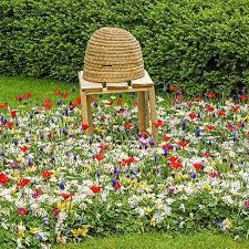 Naturalizing Box Collection Spring Bulbs Flower Garden Design Pallet Garden