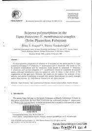 Image result for Vigna frutescens