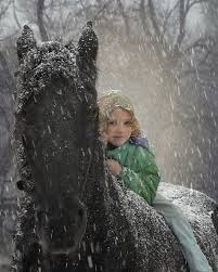 Did You Know That When It Snows My Eyes Did You Know That When Snows My Eyes Become Large And The Lights That You Shine Can Be Seen Baby I Compare You To A Kiss From A Rose Horses