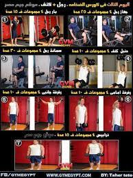 كورس الضخامة العضلية كمال أجسام جيم مصر gymegypt جيم مصر bodybuilding gym baseball cards