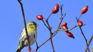 Giornata in prevalenza soleggiata, salvo presenza di nubi sparse al mattino. Quel Temps Est Prevu A Mantes La Jolie Et Ses Environs Le Vendredi 23 Avril 2021