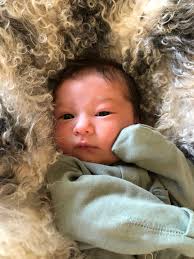 babies — flourish wellness & midwifery