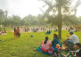 actividades concluyente