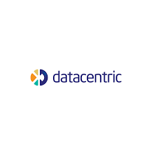 For Sale Data Centric Pie Chart Logo