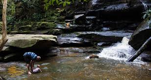 The parking and picnic area is at the end of somersby falls rd so it is hard to miss. Somersby Falls Things To Do Love Central Coast