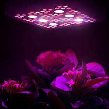 Cob led grow lights are the latest trend in the indoor grow lights realm. Buy Vivosun 1200w Cree Cob Led Grow Light Full Spectrum For Indoor Plant Growing With Veg And Bloom Switches Online In Vietnam B07ggftn2j