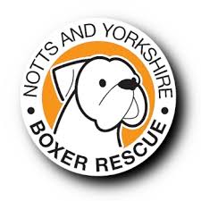 Boxer rescue ontario is a nonprofit charity organization of volunteers dedicated to placing animal could be euthanized soon. Notts Yorkshire Boxer Rescue Passionate About Boxers