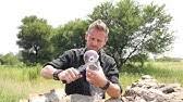 Een stoel kopen doet u dan ook niet zomaar, daarvoor mag u rustig de tijd nemen om de perfecte stoel te kiezen. Jacques Se Skiet Stoel Youtube