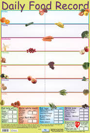 Daily Food Record Wholesale Posters