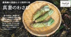 最高峰の国産わさび発祥の地 真妻のわさび Living和歌山living和歌山