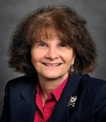 Discovery Analytics Center