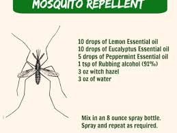 Mix ingredients in the sprayer. Homemade Mosquito Repellent Essential Oil Mosquito Repellent Spray