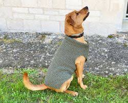 Snood knitting pattern for greyhounds. Knitting Patterns Galore Pets Dogs 25 Free Patterns