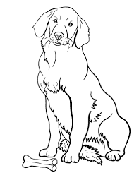 Pin By Gayelle Angelotti On Furfriendsfurever Dog Coloring Page Puppy Coloring Pages Golden Retriever Drawing