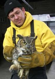 To remove squirrels from an attic we inspect the exterior of your home/building. Critter Control Of Omaha Papillion Ne