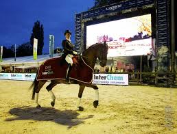 Na een jaar bleek de ruin gezond en kwam hij onder het zadel van van grunsven. Anky Van Grunsvens 25 Jarige Nelson Overleden Horses Nl
