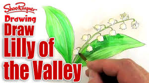 Handcoloured copperplate engraving from a drawing by james sowerby for smith's 'english botany,' london, 1802. How To Draw And Paint Lily Of The Valley Spoken Tutorial Youtube
