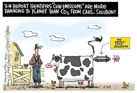 Clean Food Earth Finally The Cattle Lytic Converter Genius Cattle Emissions Cartoon