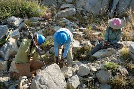 Heroes of the Tahoe Rim Trail. In the four days I spent with the  @tahoerimtrail work camp, these amazing volunteers (and a few paid crew)  built approximately 96 feet of armored trail,